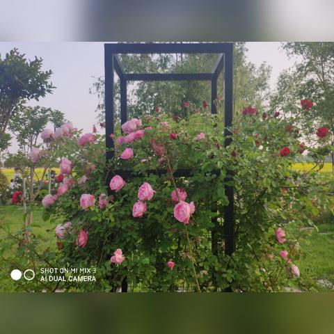 临沂南坊双休最新招聘信息速递