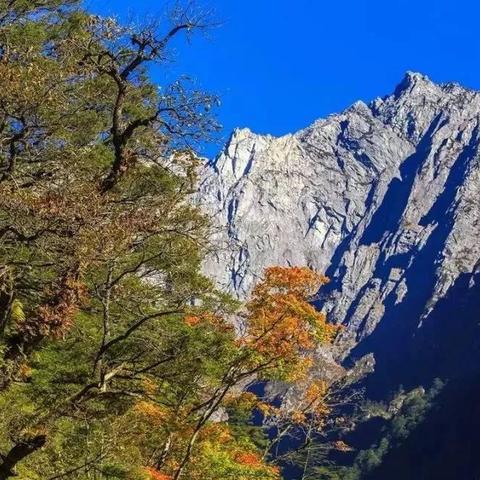 雅安铁路最新动态深度解析