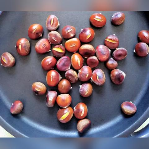 最新网贷口子放水现象深度剖析