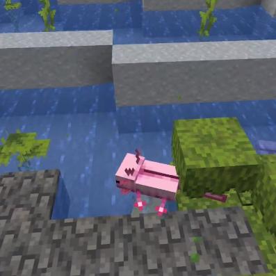 星际交易的奇迹，穿梭时空的商人最新章节更新