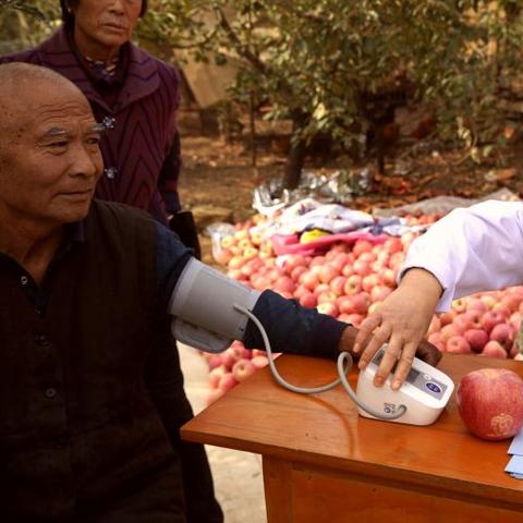 新华制药创新研发动态及最新消息深度解析