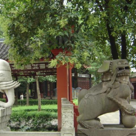 新都中塑最新动态深度解读