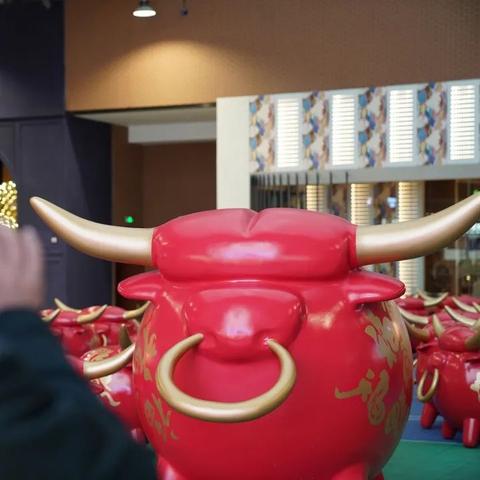 曲阳吧今日最新动态