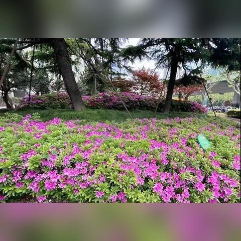 曲阳吧今日最新动态