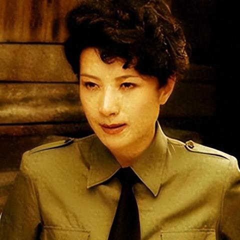 最新喋战片电视剧,深度解析与热烈反响