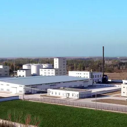 新疆禽流感最新动态更新