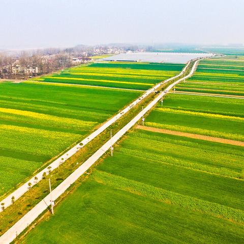 铜陵有色内部更新消息速递