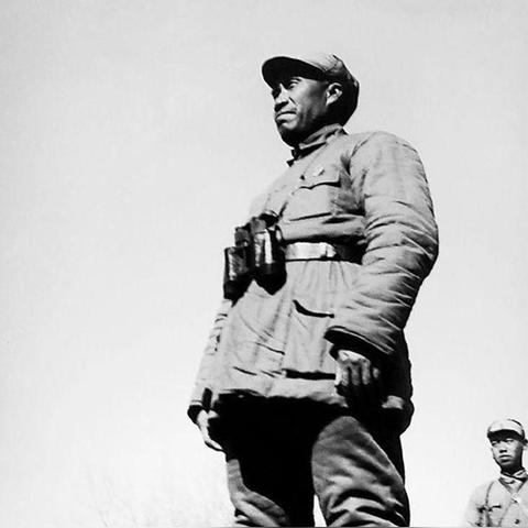 师改旅最新动态深度解析及数据详述报告