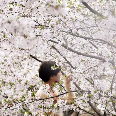 太仓岳王最新招聘信息发布!