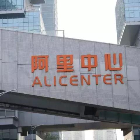 揭秘电商巨头阿里背后的秘密最新章节