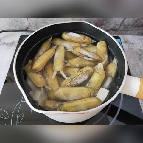 汤不热最新解读，深度剖析与全面理解