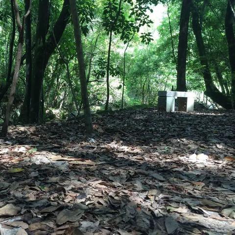 无为县土地公告最新消息