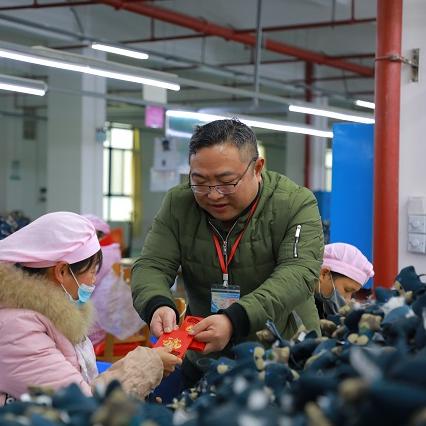 情迁抢红包最新版，引领红包风潮新篇章