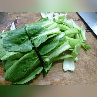 秀珍菇高产配方研究与应用成果