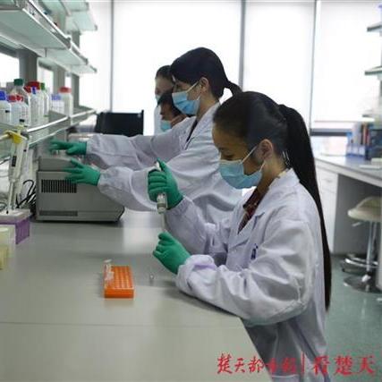 最新生物技术研究成果对医疗领域未来影响展望