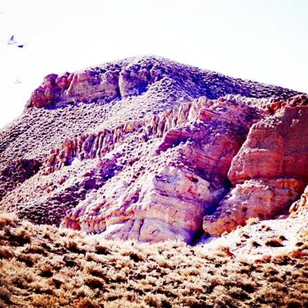 星际争霸之天道轮回，六道最新小说揭秘