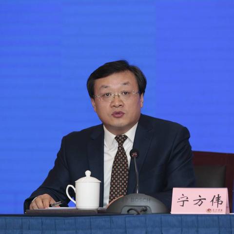 眉山泡菜城规划图详解