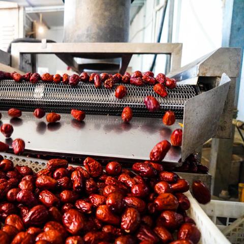 红枣深加工新产品探究