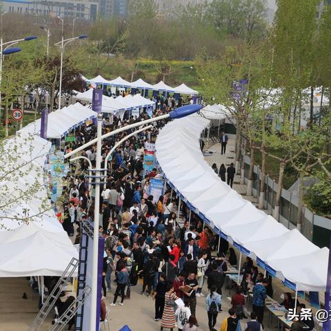 肥城市最新招工信息汇总解析