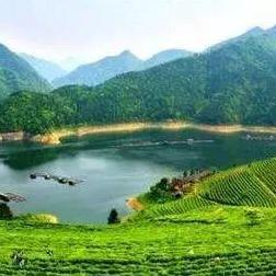 新化快速北段最新进展消息速递