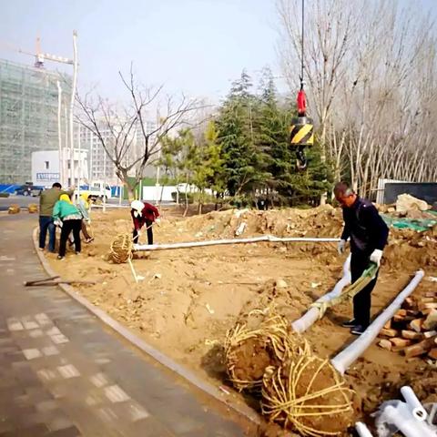 寒亭丰华路最新招聘动态解读