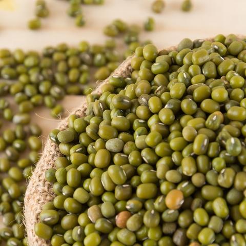 缅甸绿豆价格行情更新