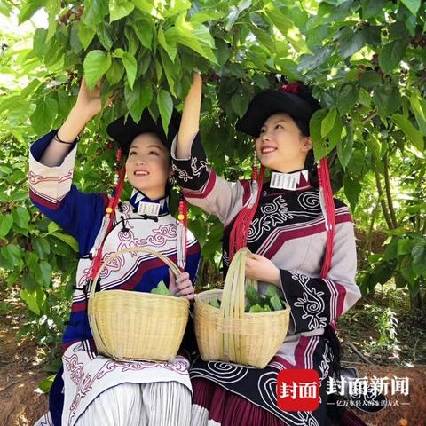 草2025最新地址一，绿色蓝图展望