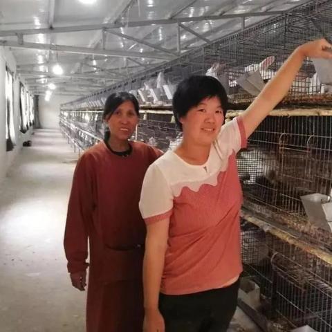 郑煤集团最新消息全面解读