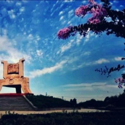 白茹云最新动态消息速递