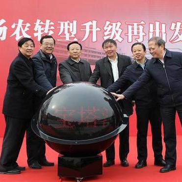 扬农搬迁最新动态消息速递