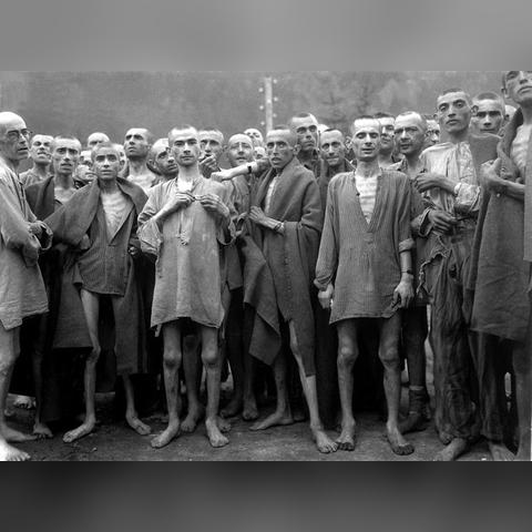 二战题材电影沃伦，深度剖析与全面评价