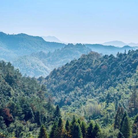 黄石大众山最新动态报道