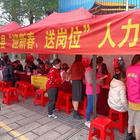 龙海人才网招聘更新速递