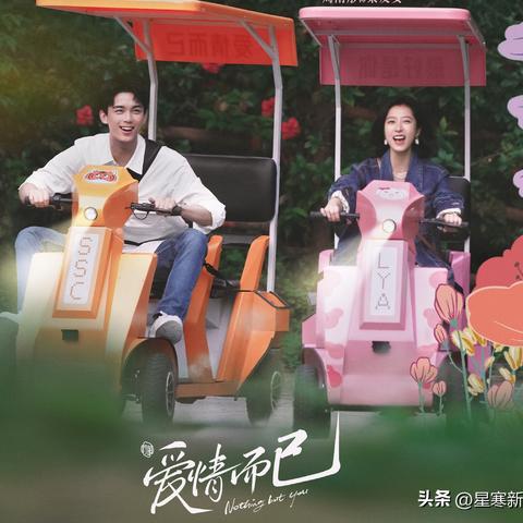 最新连续剧排行榜与热门剧情深度解析