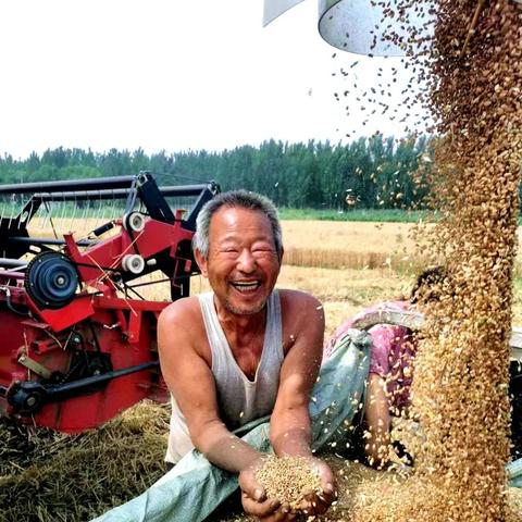 武清曹子里招工信息最新详解