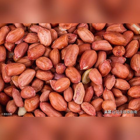河南正阳花生米最新价格走势分析