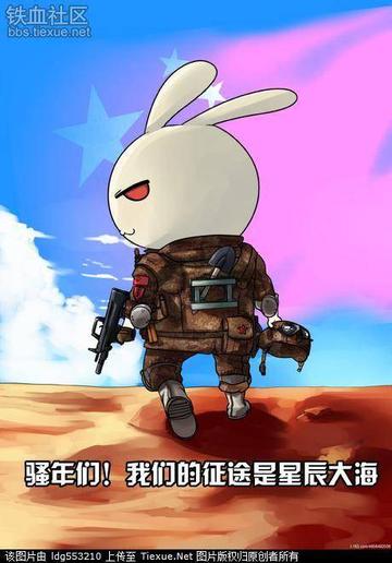 揭秘腹黑兔子进化背后的秘密数据报告