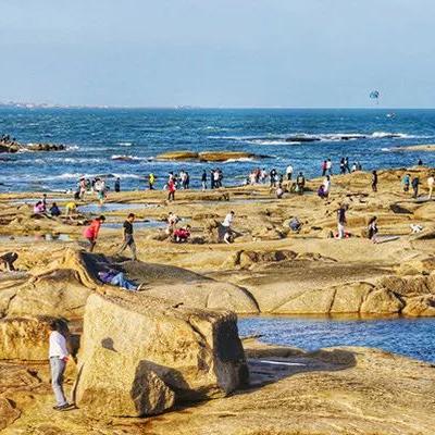 小城东港最新招聘讯息速递