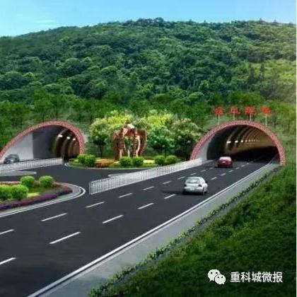 壁山青杠招聘动态解析