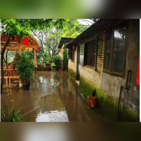 重庆非法集资动态更新