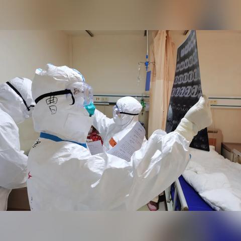 大连禽流感实时更新动态