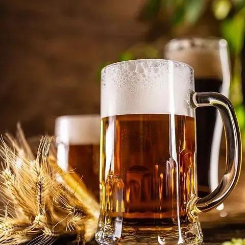 最新禁忌与风险解析,哪些路不能走?