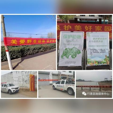 河北行唐县新闻速递