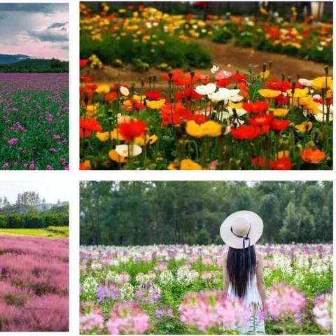 南溪最新规划消息,占地规划揭晓