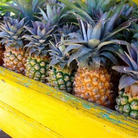 极品慧眼最新章节揭秘智能未来世界