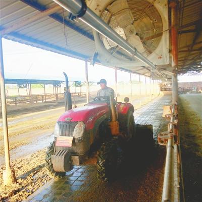 隆尧最新动态、要闻速览与数据解析