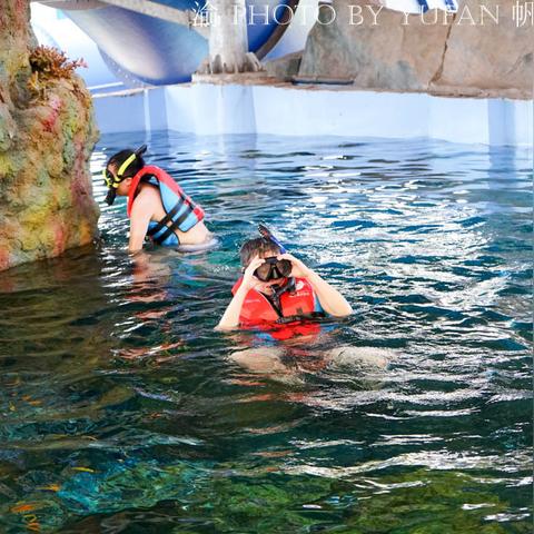 重庆塔建设最新进展报告