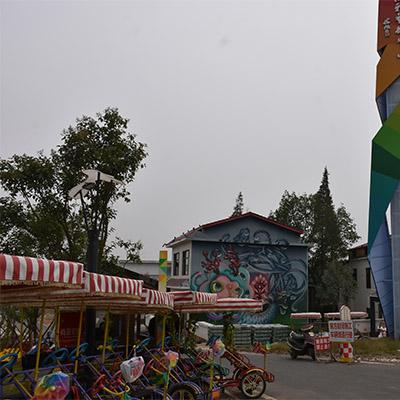 南县罗文村改革新篇章，乡村振兴显活力