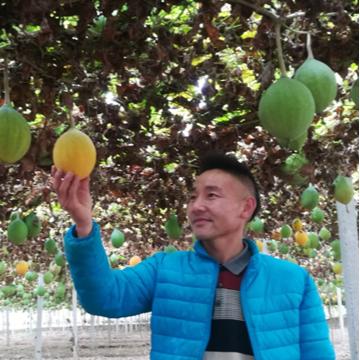 泗阳最新干部任用公示信息发布