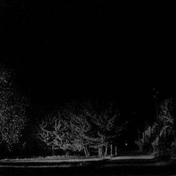 迷雾重重的秘密，活人禁地最新章节揭秘